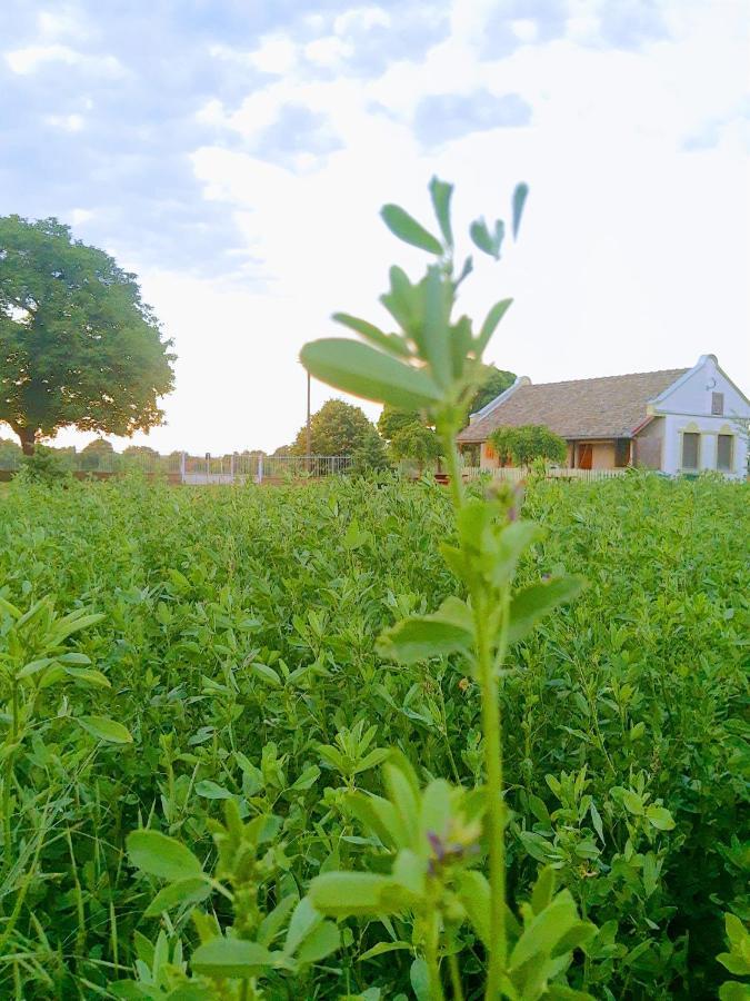 Villa Diiva Curug Eksteriør bilde