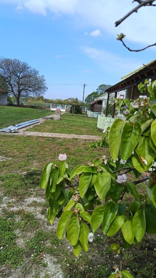 Villa Diiva Curug Eksteriør bilde
